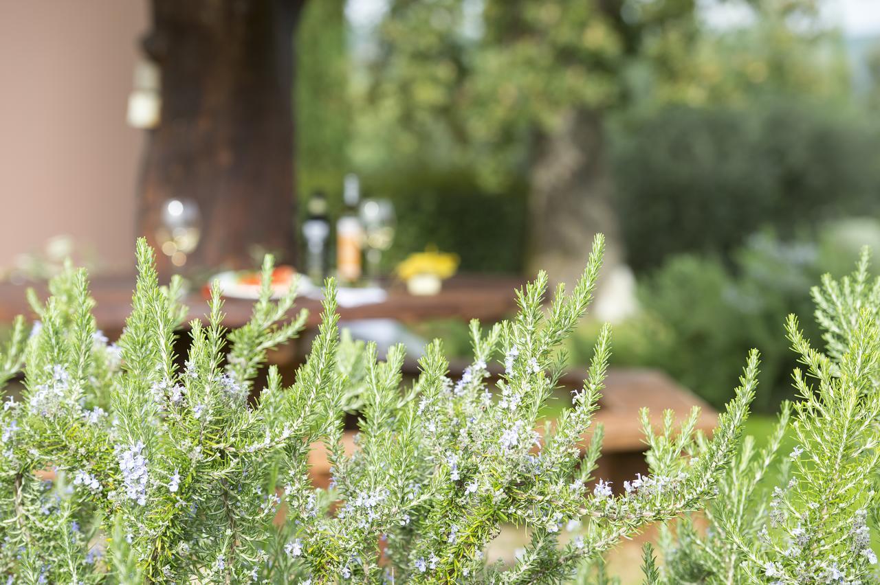 Agriturismo Poggio Corbello La Pesta Экстерьер фото