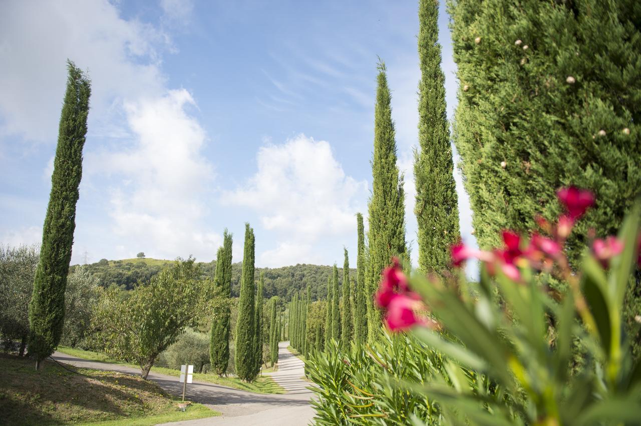 Agriturismo Poggio Corbello La Pesta Экстерьер фото