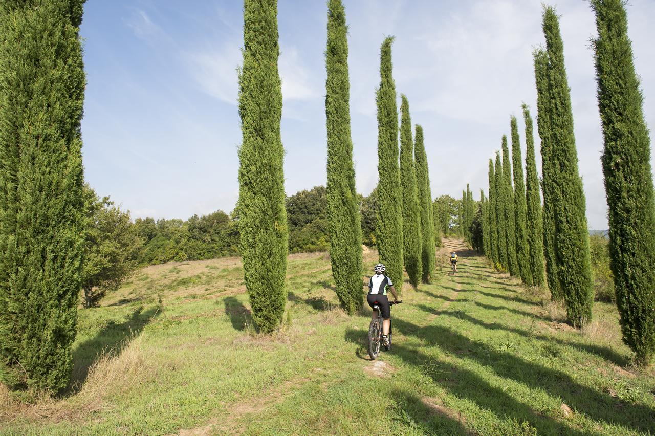 Agriturismo Poggio Corbello La Pesta Экстерьер фото