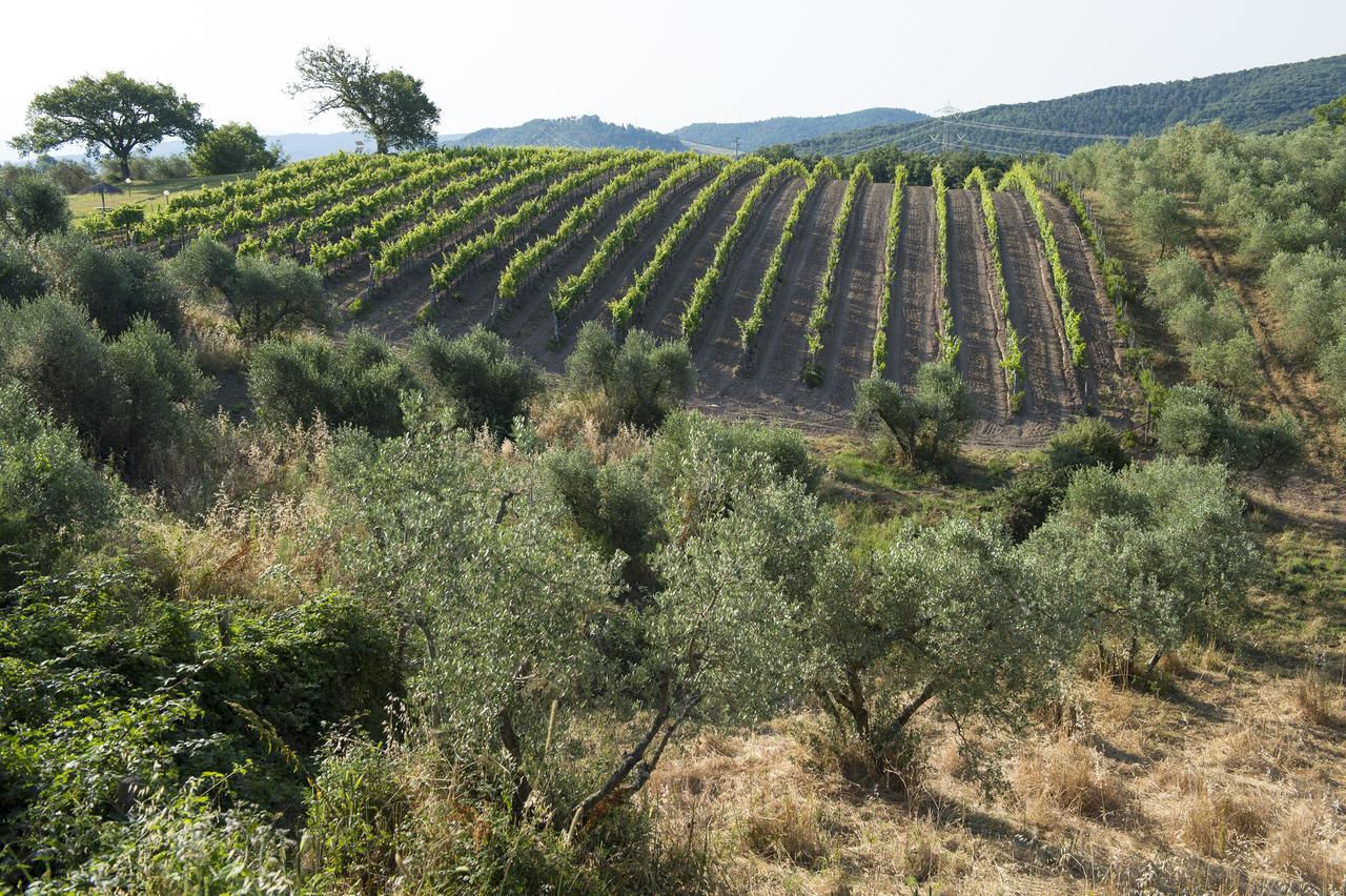 Agriturismo Poggio Corbello La Pesta Экстерьер фото